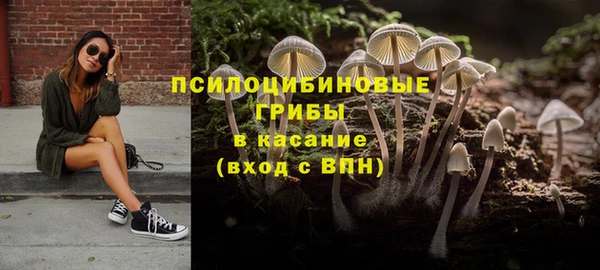 мескалин Верхний Тагил