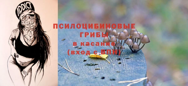 гидра Верхнеуральск