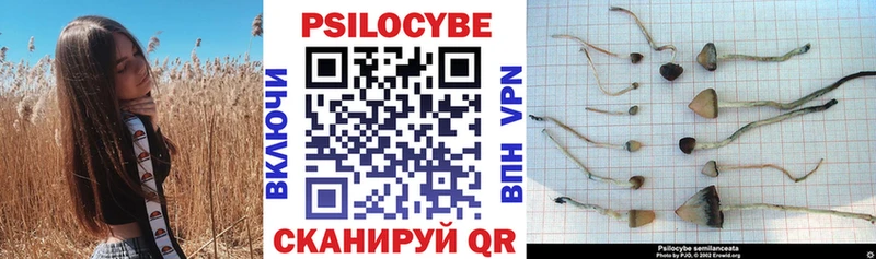 как найти закладки  Городище  Галлюциногенные грибы Cubensis 